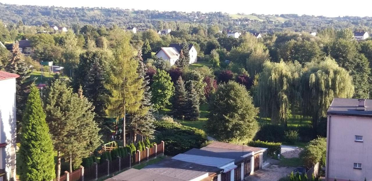 Апартаменти Apartament Perla Скавіна Екстер'єр фото